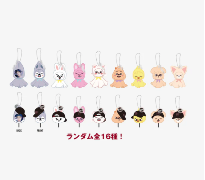 RANDOM MINI IMAGE PICKET KEY HOLDER / Stray Kids『Stray Kids World Tour <dominATE JAPAN> 』